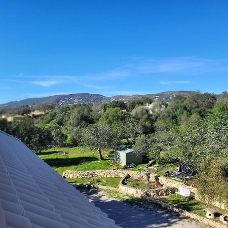 Vista Magica B&B Santa Bárbara de Nexe Eksteriør bilde
